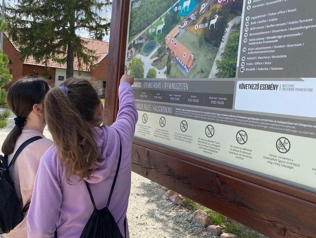 El Gusto Homes Town Шопрон Екстер'єр фото